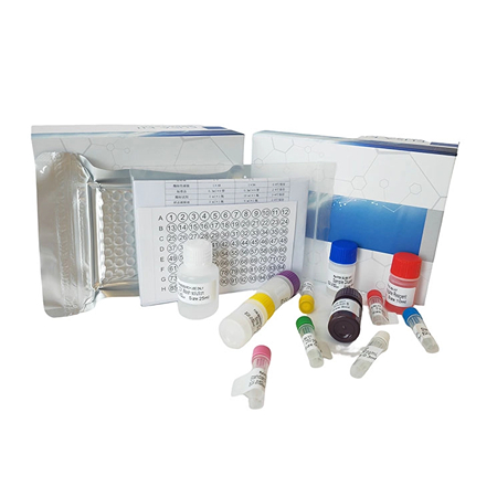 上海研域生物怎樣判斷ELISA試劑盒及時妥善解決