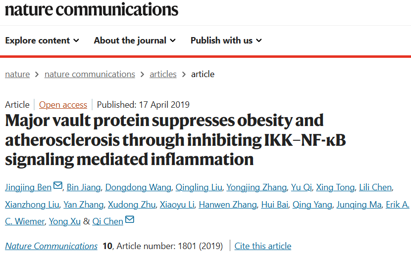 MVP通过抑制IKK–NF-κB信号介导的炎症来抑制肥胖和动脉粥样硬化