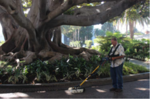 探地識根，以科技守護綠色脈絡：TRU樹木雷達培訓紀實