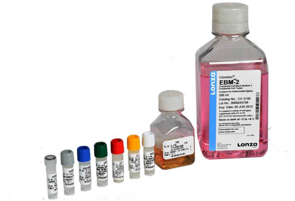 image.png LONZA人骨髓單個核細胞hBM-MNC 產品介紹