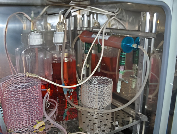 service-4-picsart-aiimageenhancer - 副本.jpg Antibody Research Corporation(美国)代理商 2026授权代理-上海起发