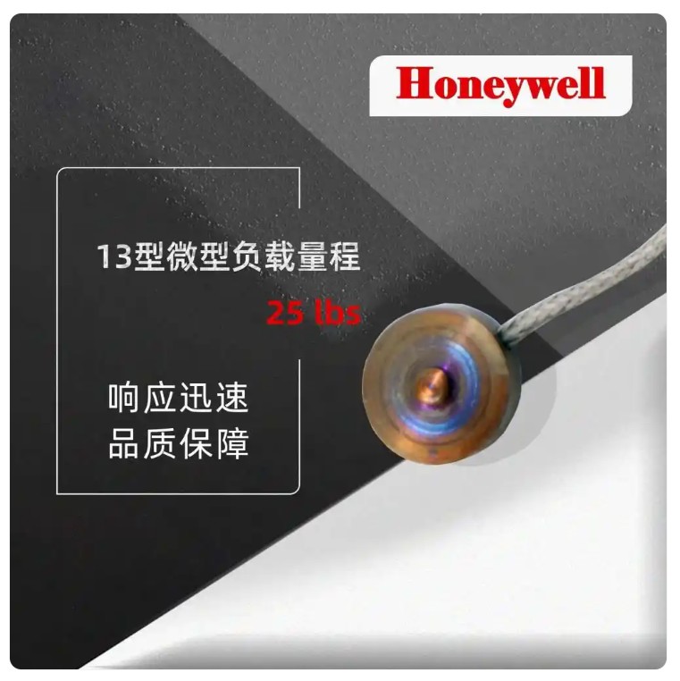 13型超微型力傳感器1.jpg 13型超微型力傳感器1.jpg