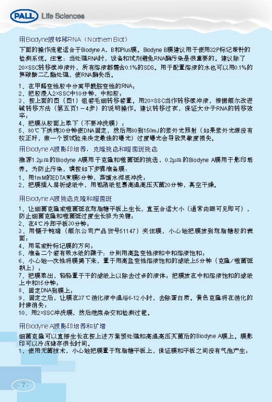 PALL PVDF转印膜 NC转印膜