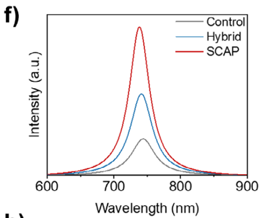 SCAP自洽性鈍化達32.33% PCE，消除鈍化串擾