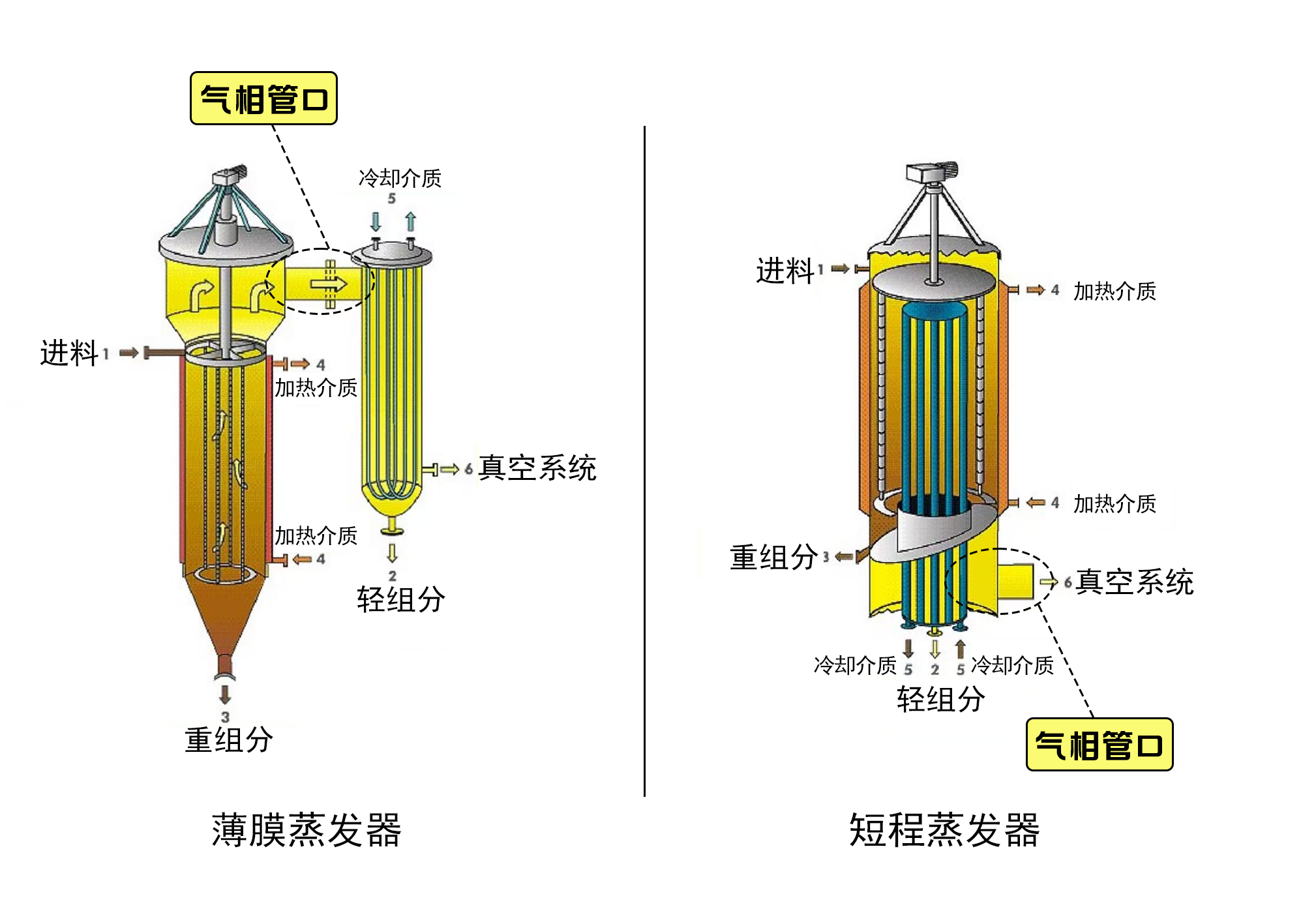 分子蒸餾與分子精餾，一字之差，差之千里。