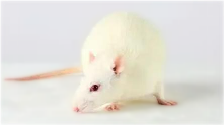 圖片1.png 圖片1.png