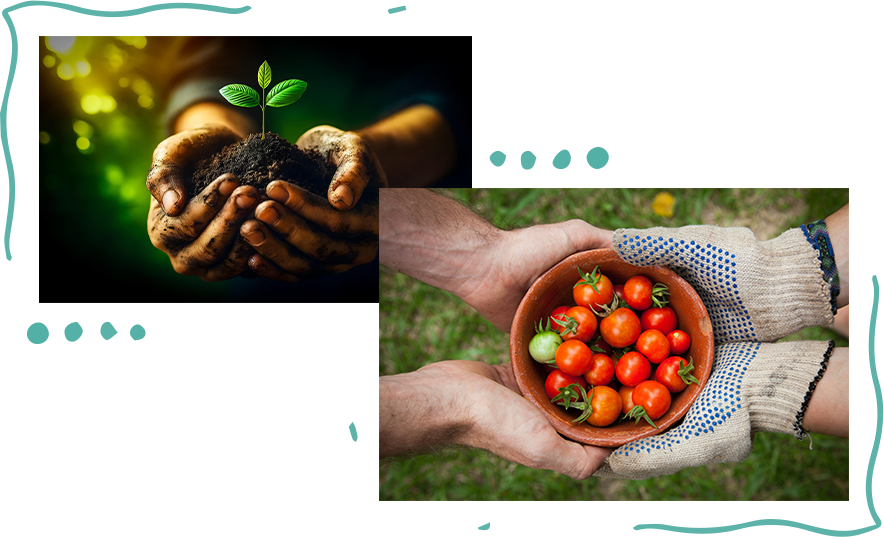 定制化基因芯片：協作的流程、靈活的規格與高超的品質