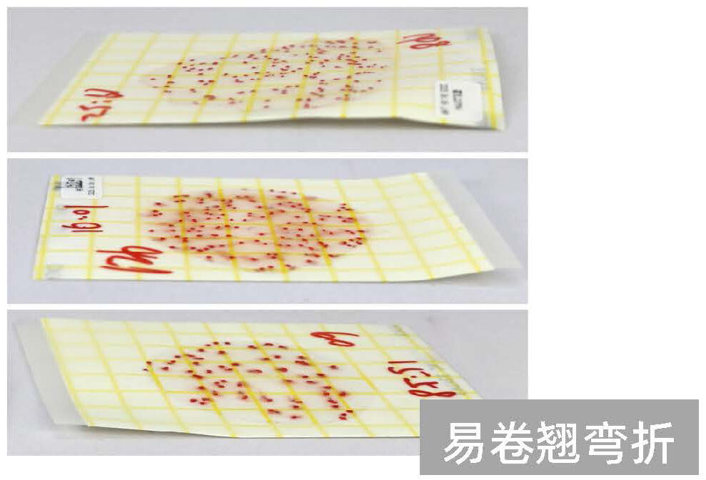 新品发布——菌落总数测试片(AC)-7cm测试片