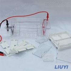 DYCP-31DN型琼脂糖水平电泳槽 六一电泳仪