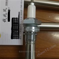 德國BERU電極ZE14-12-600 A1