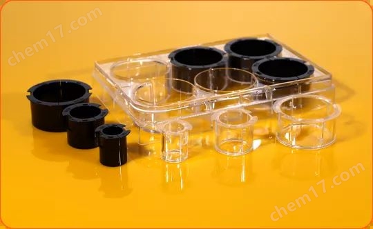 共聚焦爬片1.jpg 黑色24孔板共聚焦爬片