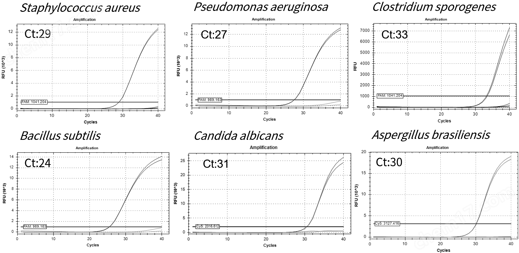3017618051568004.png RiboNAT™ 快速無菌檢測試劑盒