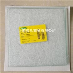 1651823 伯樂(lè)Bio-Rad大型電泳玻璃板內(nèi)板用于20cmPROTEANIxi 電泳槽165-1823