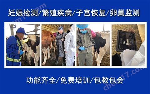 獸用無線B超廠家報價牛用B超今日價格多少錢