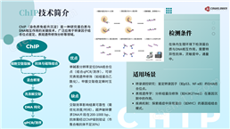 分子互作實驗：RIP(RNA免疫沉淀）