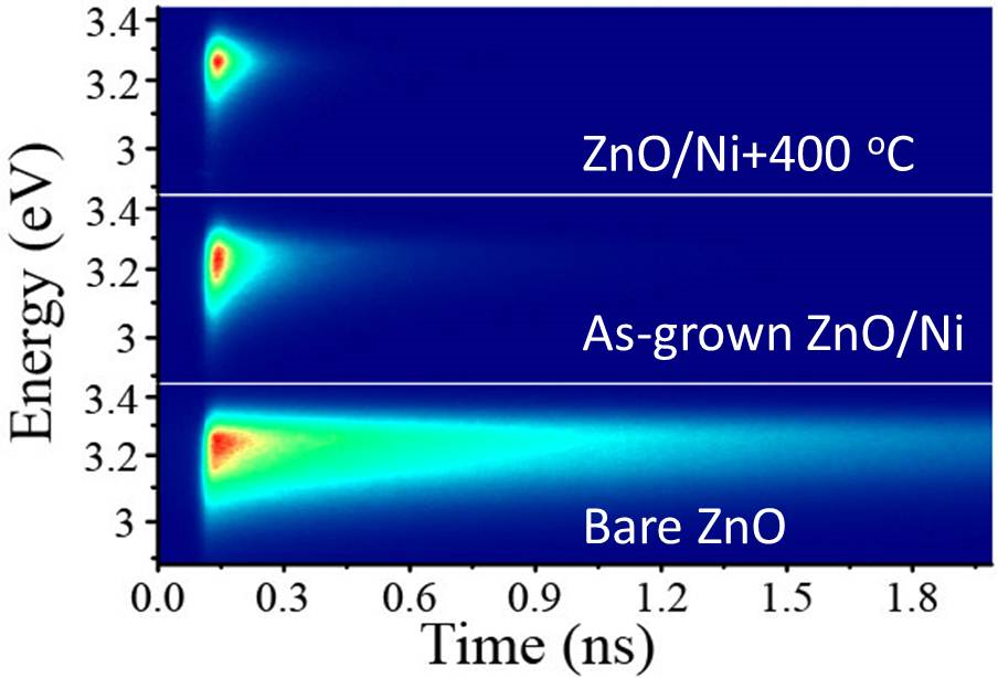共聚焦显微稳态瞬态荧光光谱系统