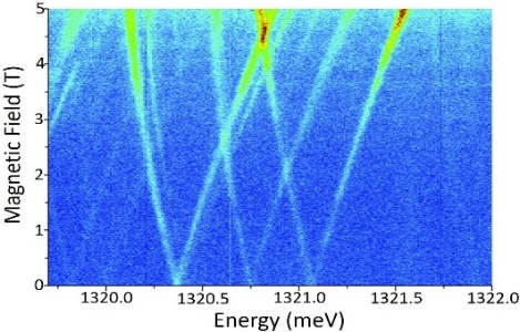 共聚焦显微稳态瞬态荧光光谱系统