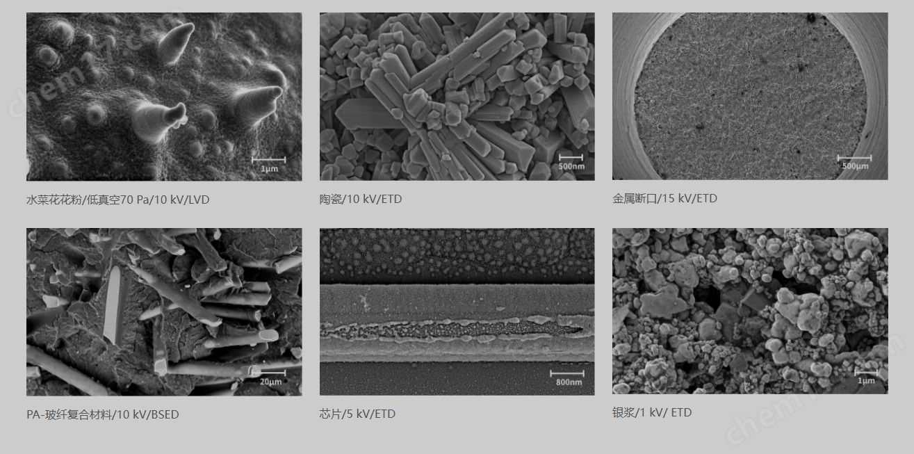 国仪量子SEM4000Pro场发射扫描电子显微镜