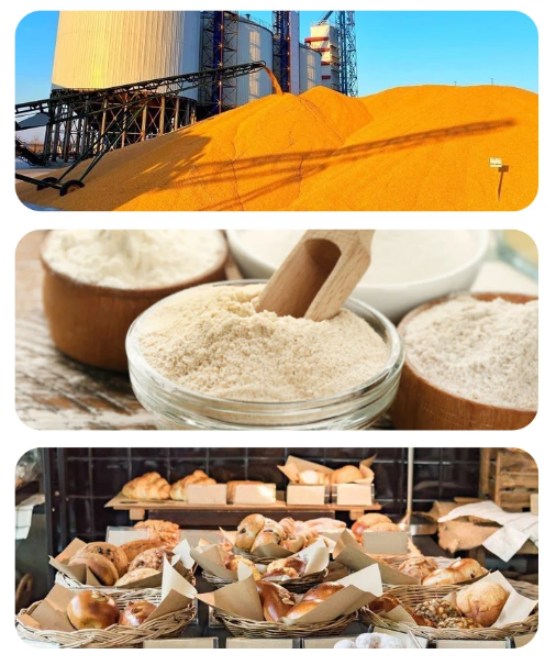 水浴桶加热管小麦粉面粉降落值仪