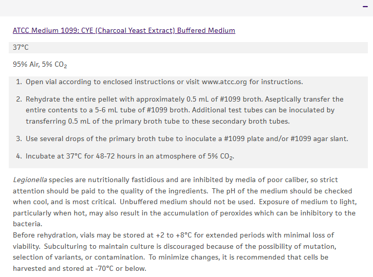 ATCC 33152 嗜肺军团菌嗜肺亚种 菌株