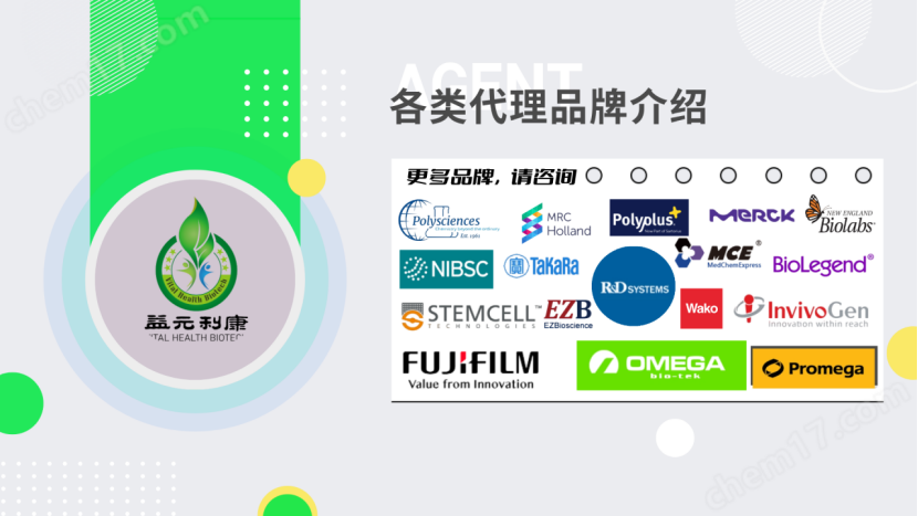 索莱宝植物蛋白提取试剂盒