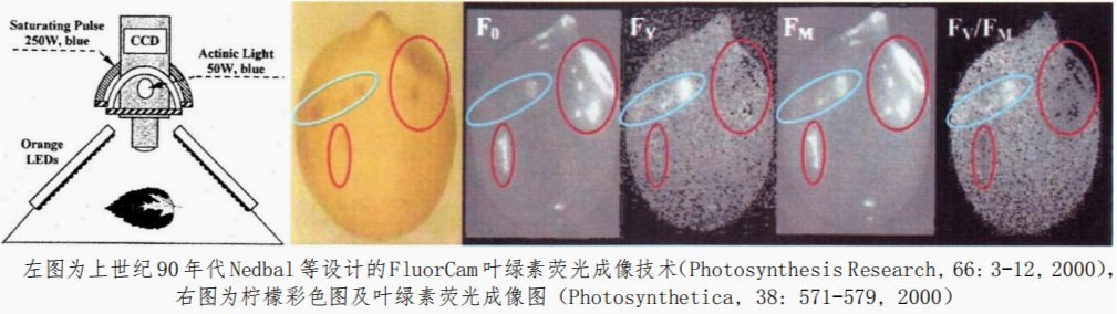 33.png FluorCam封閉式葉綠素?zé)晒獬上裣到y(tǒng)